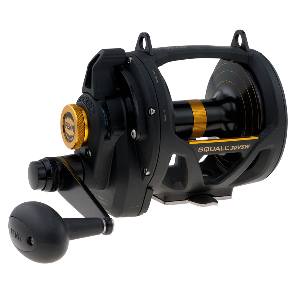 PENN SQL30VSW Squall Lever Drag 2 Speed Conventional Reel [1292937] –