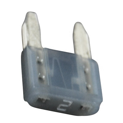 Marpac Mini Plug-In Fuses - 2 Amp - Gray - Bulluna.com
