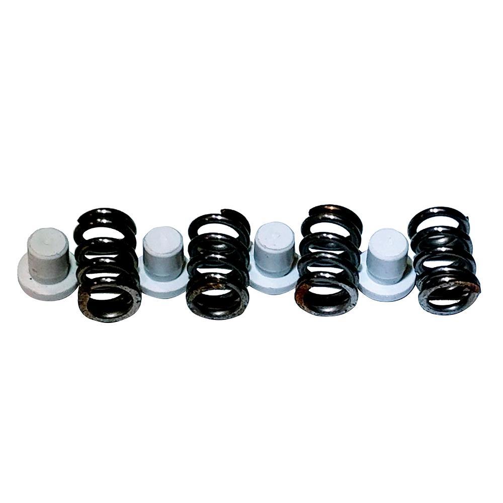 Maxwell Plunger/Spring Kit - 2200-4500 [P101550] - Bulluna.com