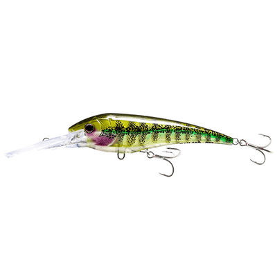 Nomad DTX Minnow Floating 140 Lure - 5.5 Inches - Bulluna.com