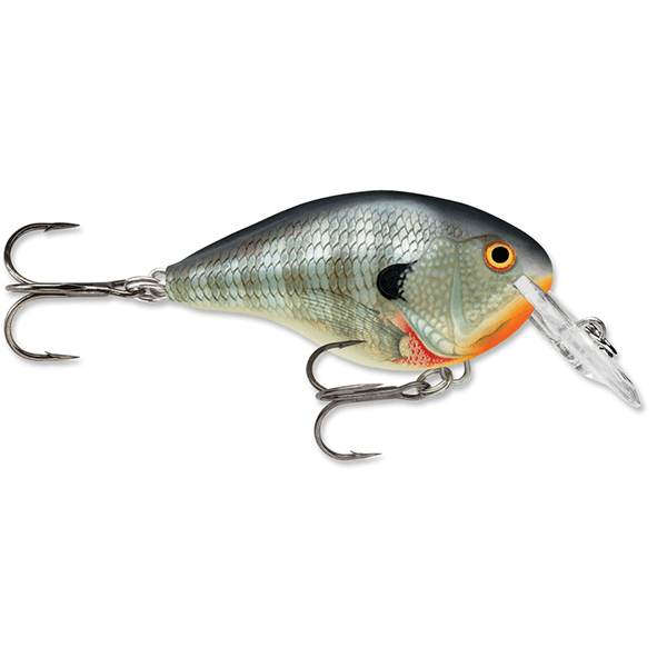 Rapala Dives-To 04 Crankbait Lure - 2 Inches - Bulluna.com