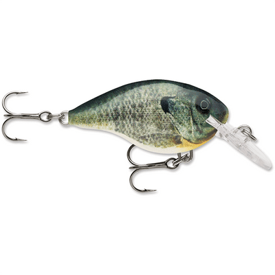 Rapala Dives-To 04 Crankbait Lure - 2 Inches - Bulluna.com