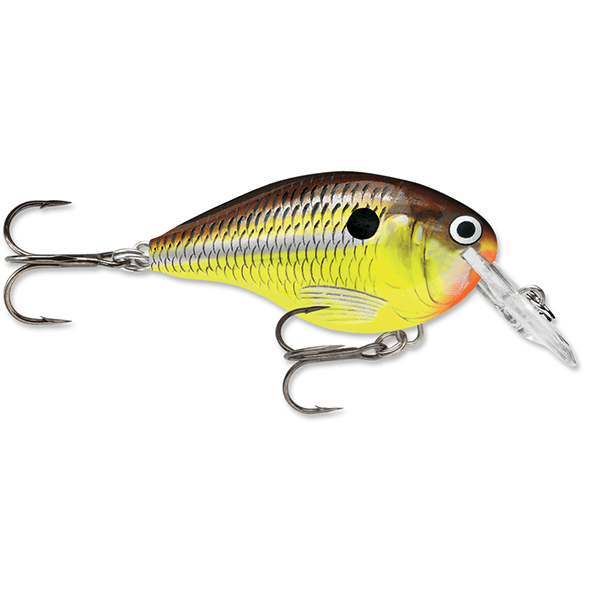 Rapala Dives-To 04 Crankbait Lure - 2 Inches - Bulluna.com