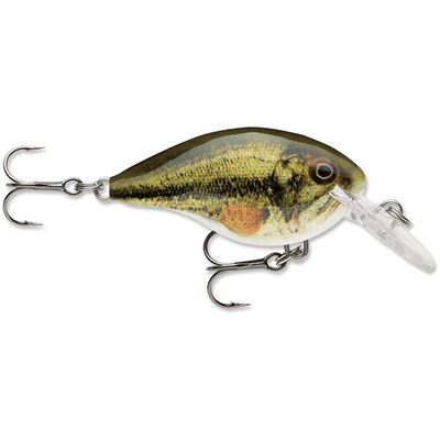 Rapala Dives-To 04 Crankbait Lure - 2 Inches - Bulluna.com