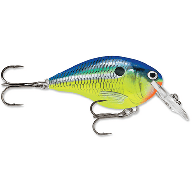 Rapala Dives-To 04 Crankbait Lure - 2 Inches - Bulluna.com