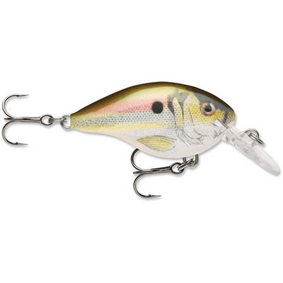 Rapala Dives-To 04 Crankbait Lure - 2 Inches - Bulluna.com