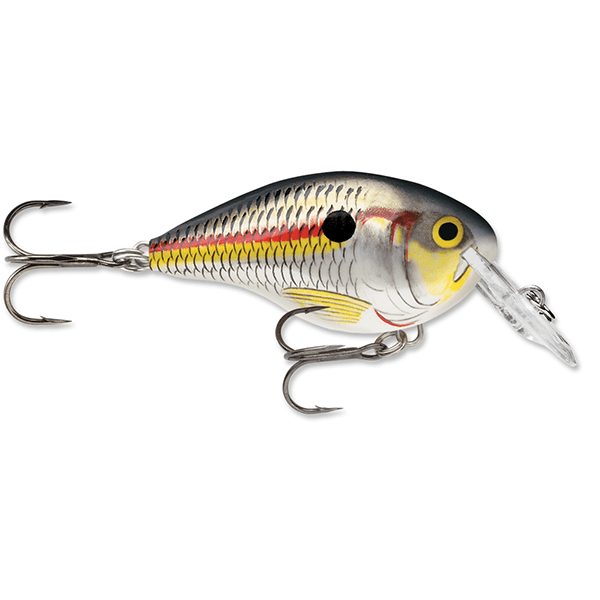 Rapala Dives-To 04 Crankbait Lure - 2 Inches - Bulluna.com