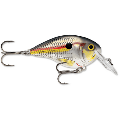 Rapala Dives-To 04 Crankbait Lure - 2 Inches - Bulluna.com