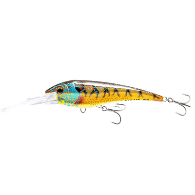 Nomad DTX Minnow Floating 120 Lure - 4.75 Inches - Bulluna.com