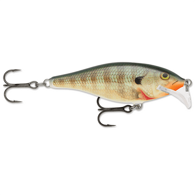 Rapala Scatter Rap Shad 07 Crankbait Lure -  2 3/4 Inches - Bulluna.com
